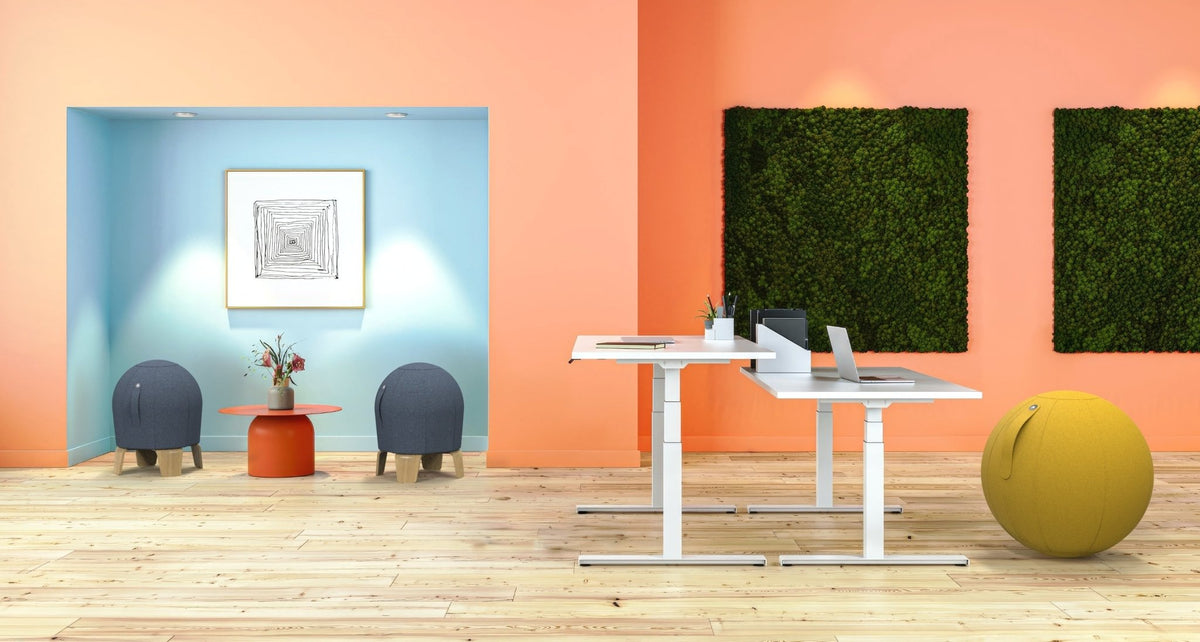 Ballon Ergonomique Loona Noir - SC Mobilier