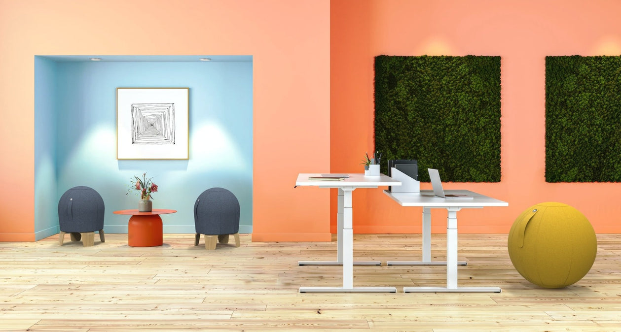 Ballon Ergonomique Loona Noir - SC Mobilier