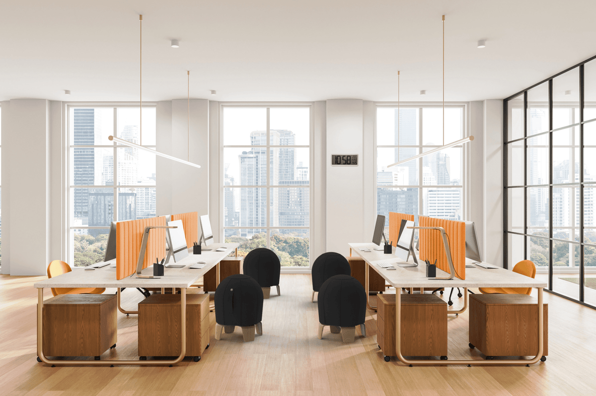 Ballon Ergonomique Loona Noir - SC Mobilier