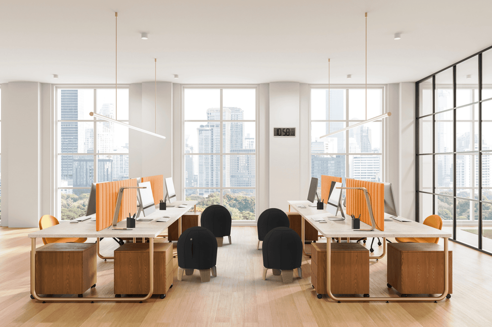 Ballon Ergonomique Loona Noir - SC Mobilier