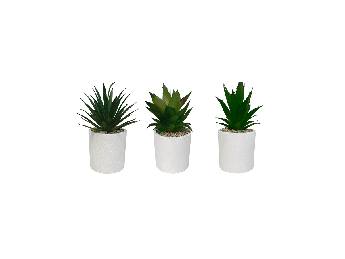 Set de 3 plantes artificielles, pot blanc, taille 16 cm - SC Mobilier