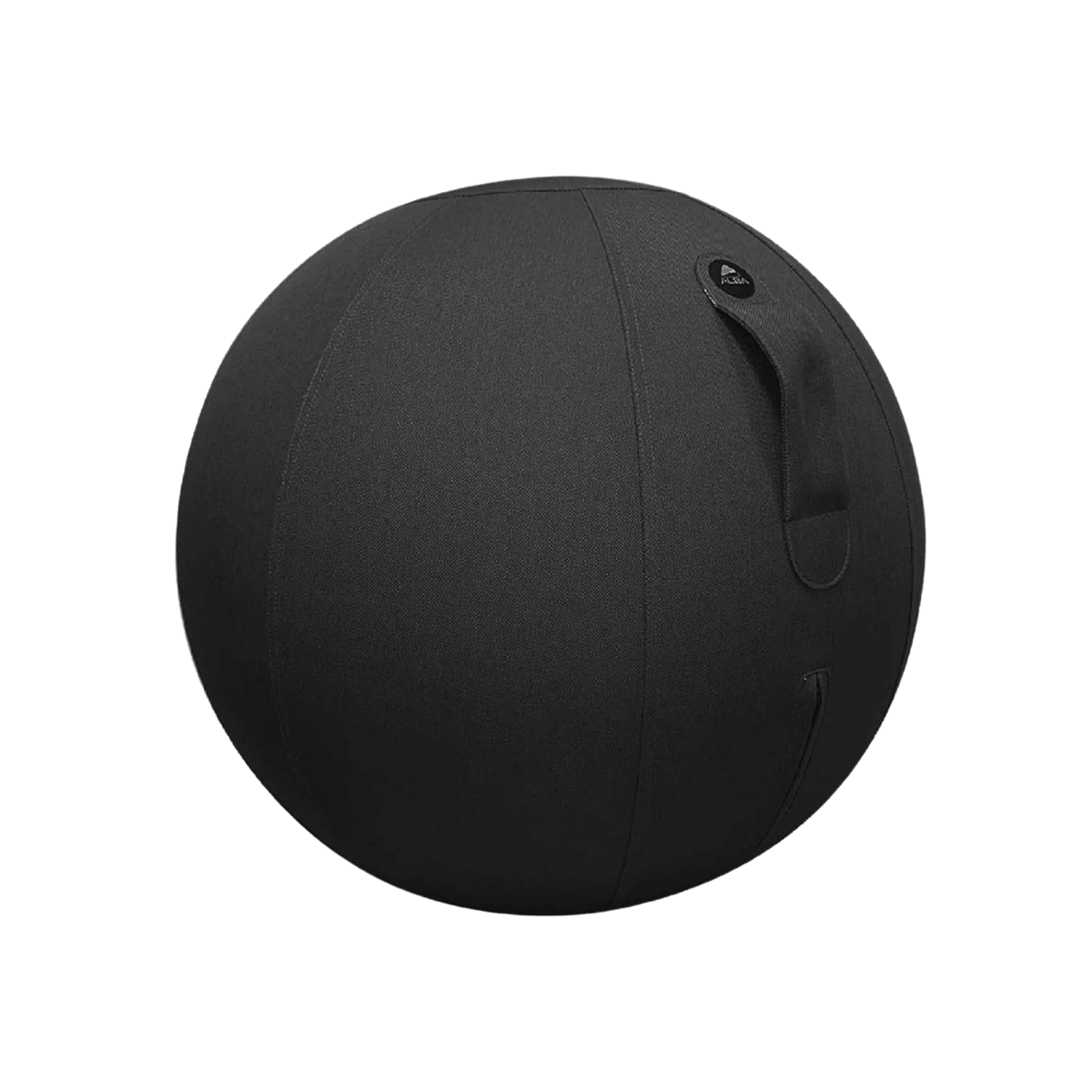 Swiss Ball Noir - SC Mobilier