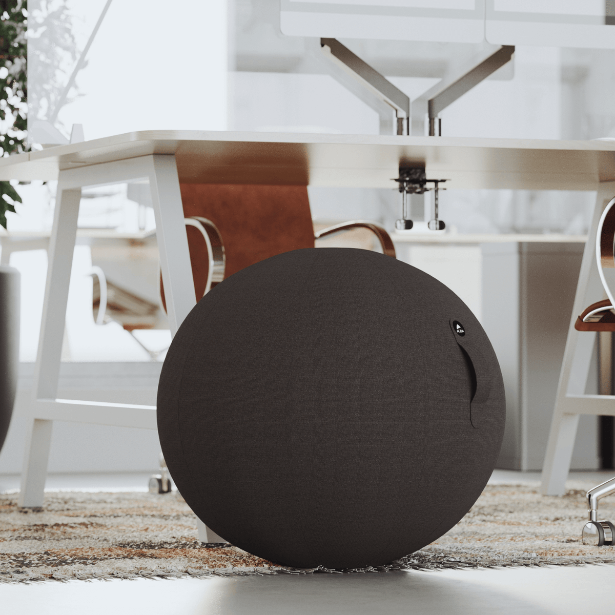 Swiss Ball Noir - SC Mobilier